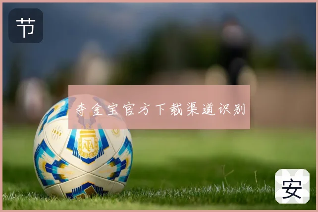 夺金宝官方下载渠道识别