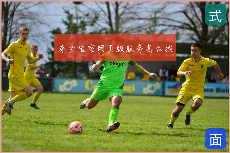 夺金宝官网页版服务怎么找